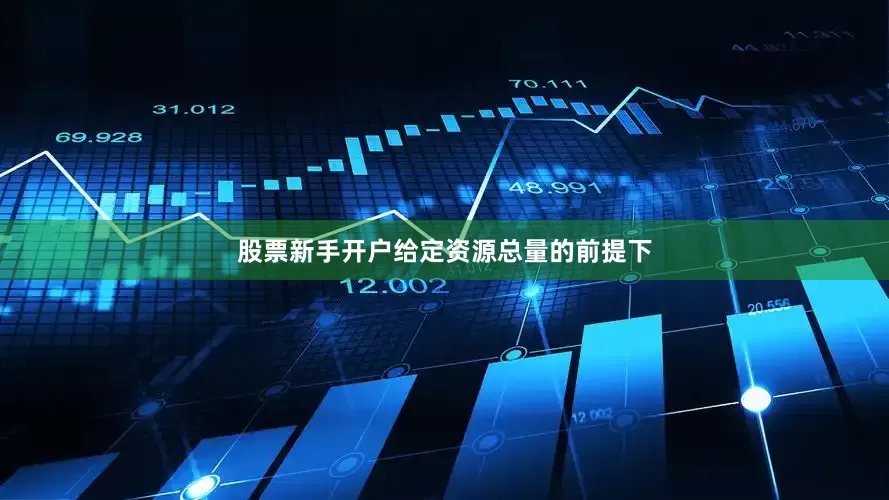 股票新手开户给定资源总量的前提下