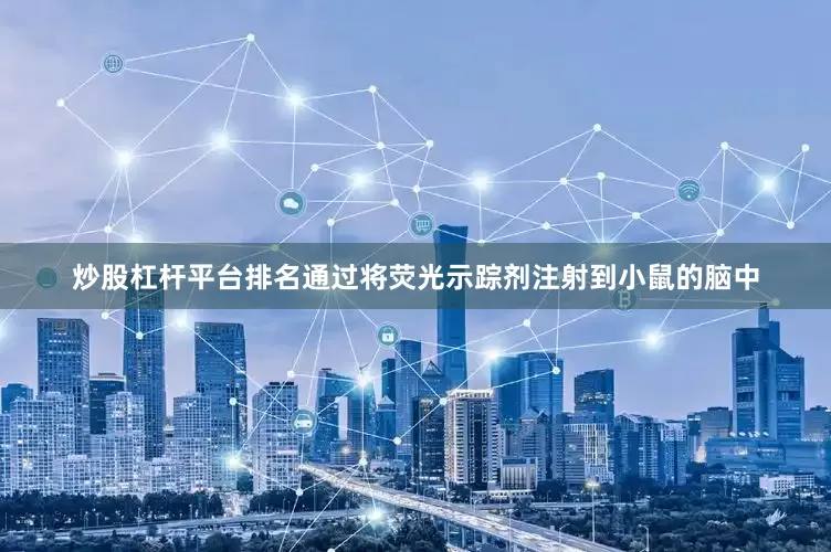 炒股杠杆平台排名通过将荧光示踪剂注射到小鼠的脑中